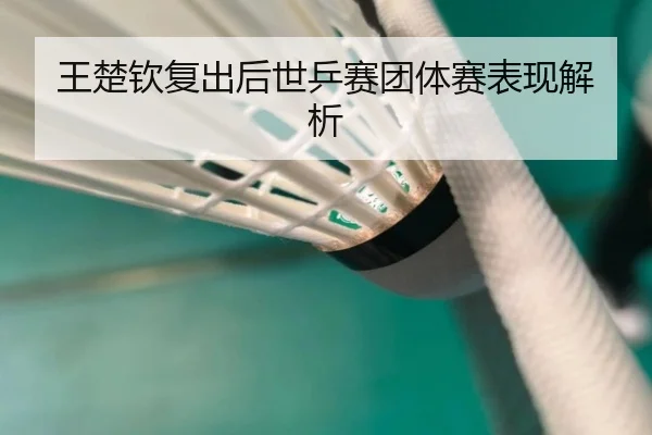 王楚钦复出后世乒赛团体赛表现解析